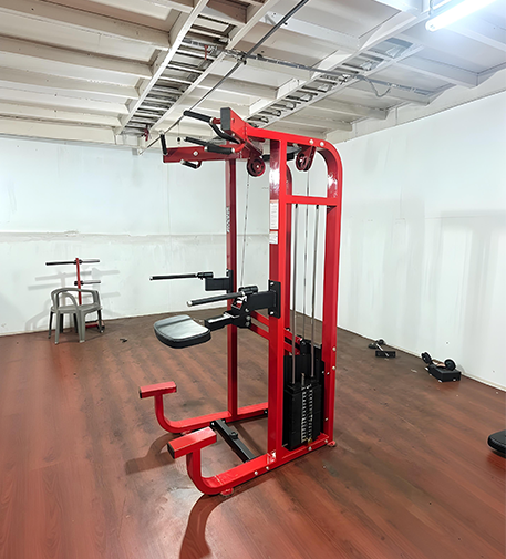 Pin Loaded Gym Equipment Manufacturer in India